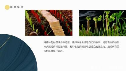 產(chǎn)品類廣告片策劃案（PPT結(jié)構(gòu)模板）